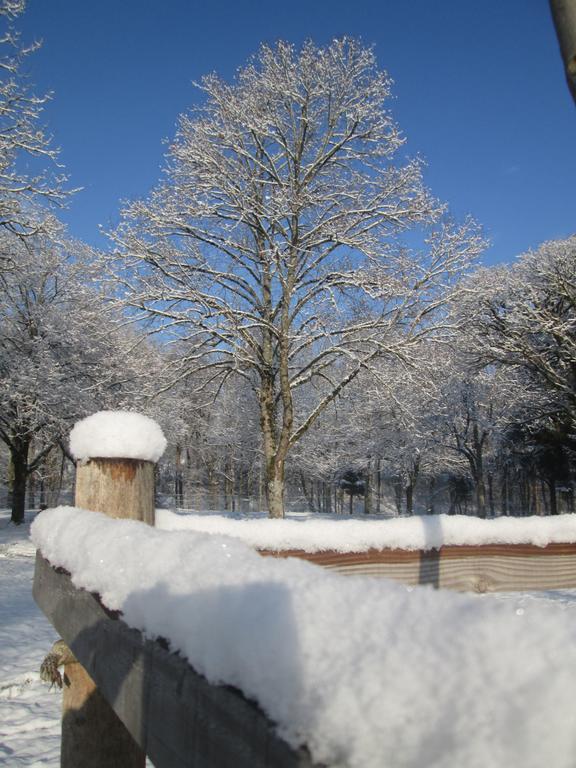 Camping De Masevaux Dış mekan fotoğraf