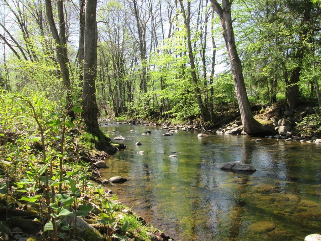 Camping De Masevaux Dış mekan fotoğraf